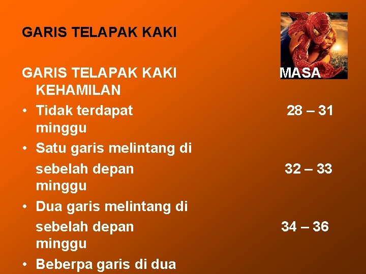 GARIS TELAPAK KAKI KEHAMILAN • Tidak terdapat minggu • Satu garis melintang di sebelah