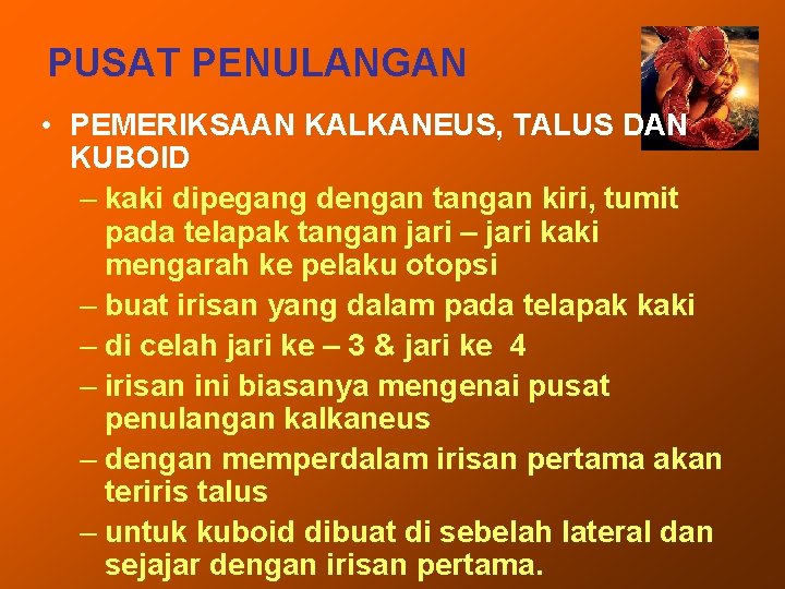 PUSAT PENULANGAN • PEMERIKSAAN KALKANEUS, TALUS DAN KUBOID – kaki dipegang dengan tangan kiri,