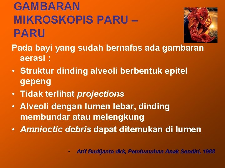 GAMBARAN MIKROSKOPIS PARU – PARU Pada bayi yang sudah bernafas ada gambaran aerasi :