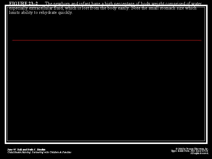 FIGURE 23– 2 The newborn and infant have a high percentage of body weight