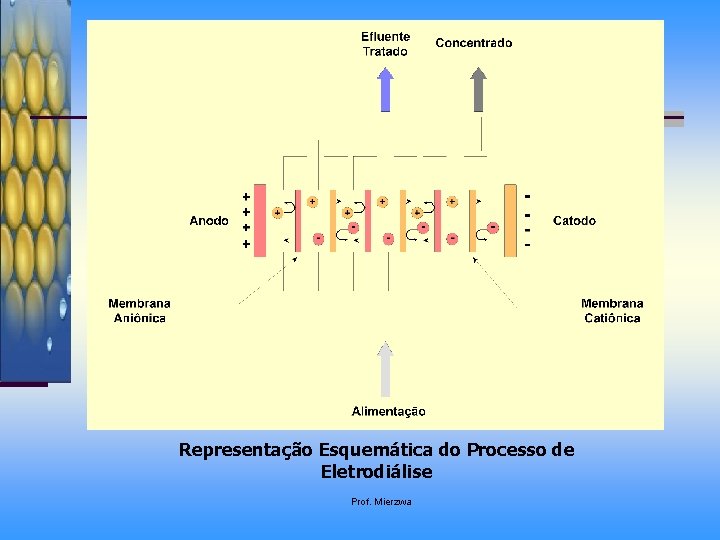 Representação Esquemática do Processo de Eletrodiálise Prof. Mierzwa 