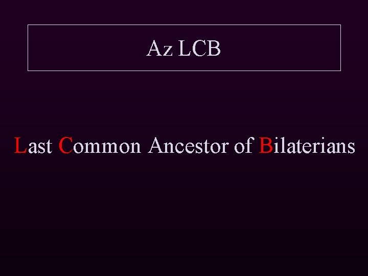 Az LCB Last Common Ancestor of Bilaterians 