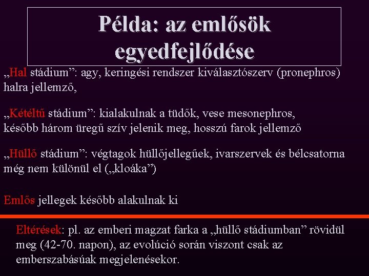 Példa: az emlősök egyedfejlődése „Hal stádium”: agy, keringési rendszer kiválasztószerv (pronephros) halra jellemző, „Kétéltű