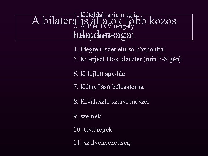 1. Kétoldali szimmteria A bilaterális állatok főbb közös 2. A/P és D/V tengely tulajdonságai