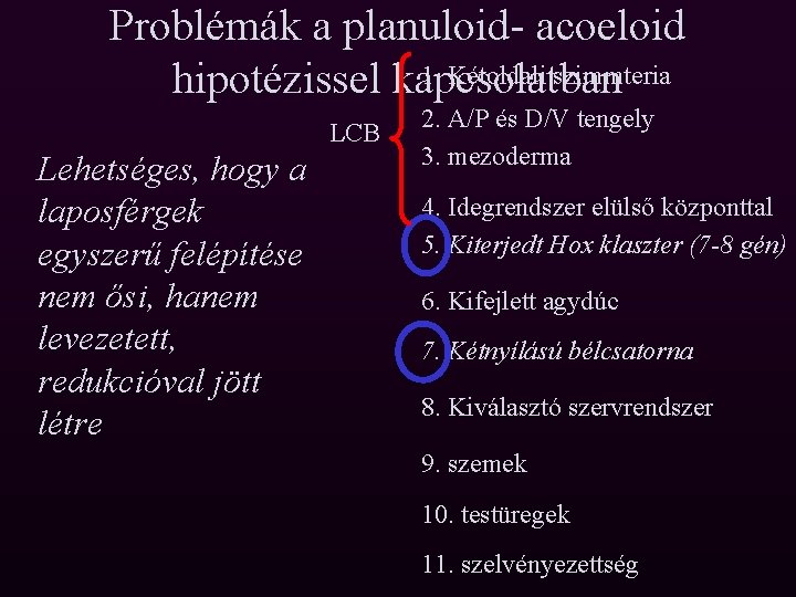 Problémák a planuloid- acoeloid 1. Kétoldali szimmteria hipotézissel kapcsolatban LCB Lehetséges, hogy a laposférgek