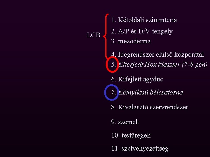 1. Kétoldali szimmteria LCB 2. A/P és D/V tengely 3. mezoderma 4. Idegrendszer elülső