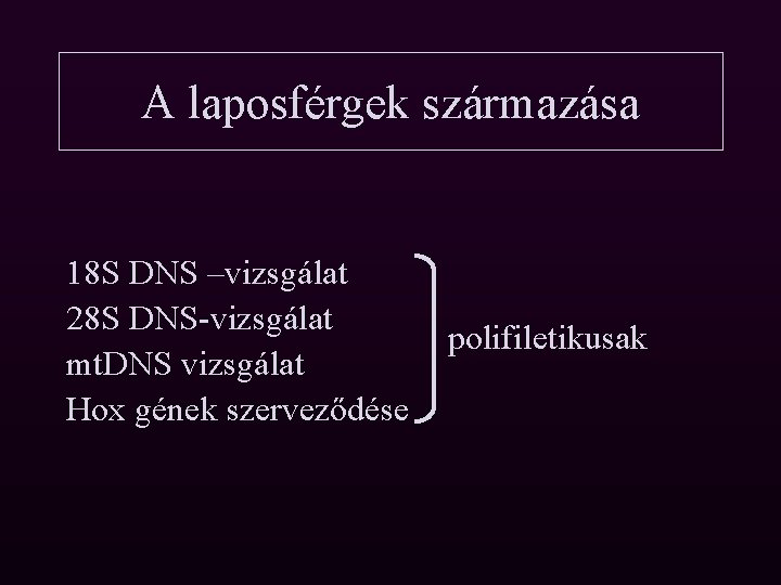 A laposférgek származása 18 S DNS –vizsgálat 28 S DNS-vizsgálat mt. DNS vizsgálat Hox