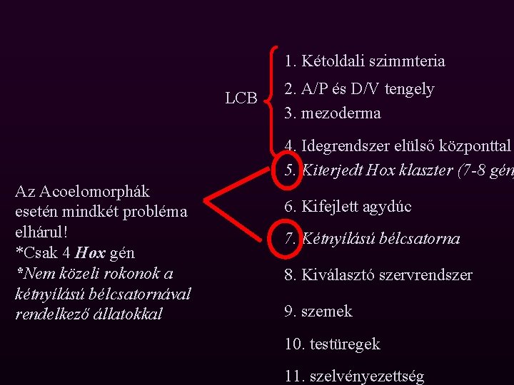 1. Kétoldali szimmteria LCB 2. A/P és D/V tengely 3. mezoderma 4. Idegrendszer elülső