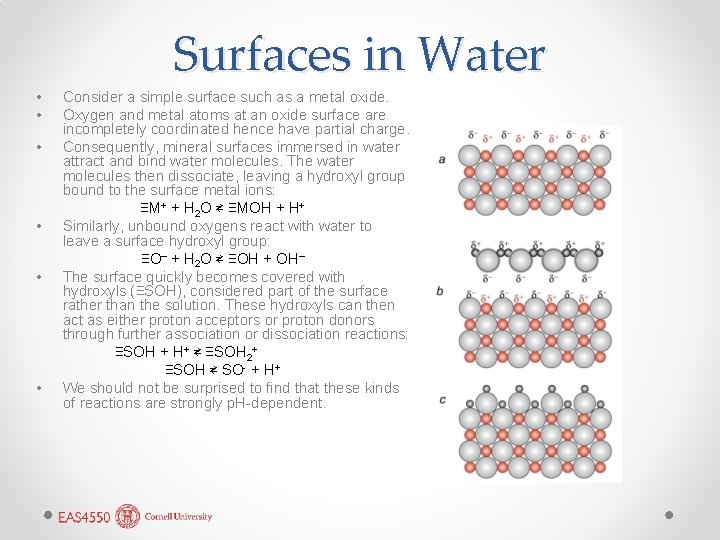 Surfaces in Water • • • Consider a simple surface such as a metal