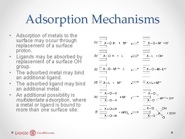 Adsorption Mechanisms • Adsorption of metals to the surface may occur through replacement of