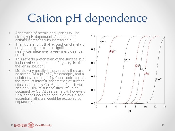Cation p. H dependence • • Adsorption of metals and ligands will be strongly