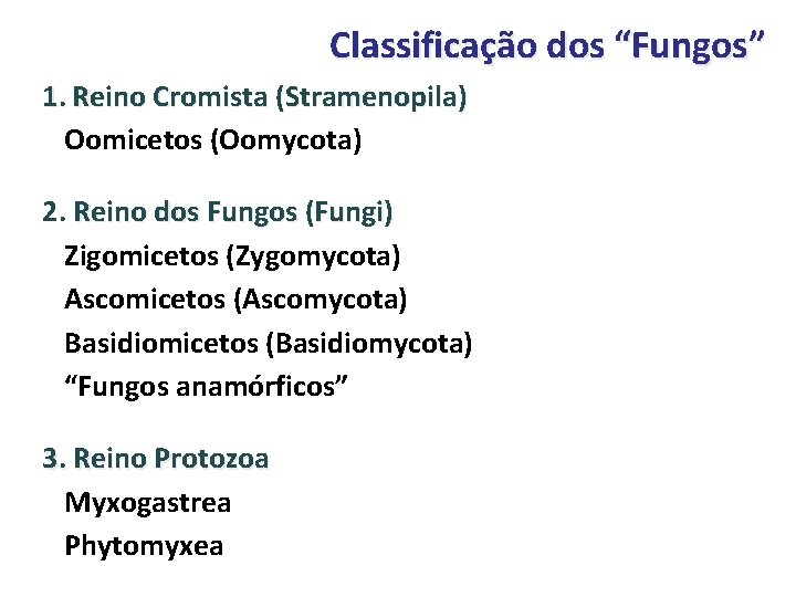 Classificação dos “Fungos” 1. Reino Cromista (Stramenopila) Oomicetos (Oomycota) 2. Reino dos Fungos (Fungi)