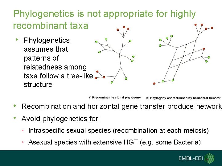 Phylogenetics is not appropriate for highly recombinant taxa • Phylogenetics assumes that patterns of