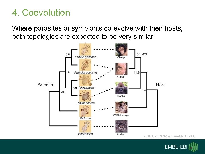 4. Coevolution Where parasites or symbionts co-evolve with their hosts, both topologies are expected