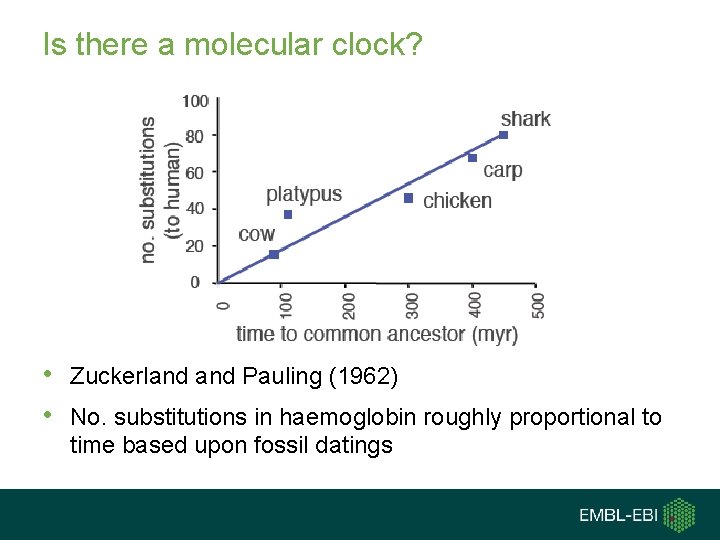 Is there a molecular clock? • Zuckerland Pauling (1962) • No. substitutions in haemoglobin