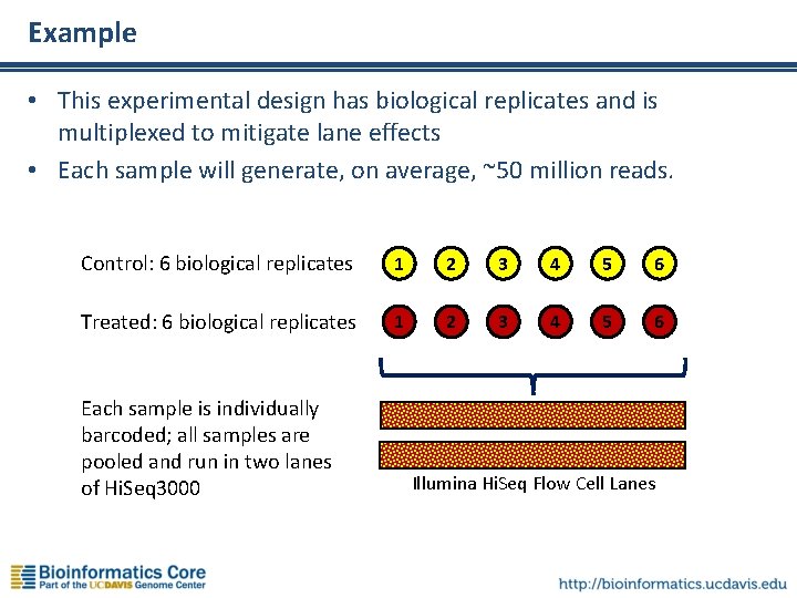 Example • This experimental design has biological replicates and is multiplexed to mitigate lane