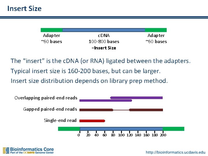 Insert Size c. DNA 100 -800 bases =Insert Size Adapter ~60 bases The “insert”