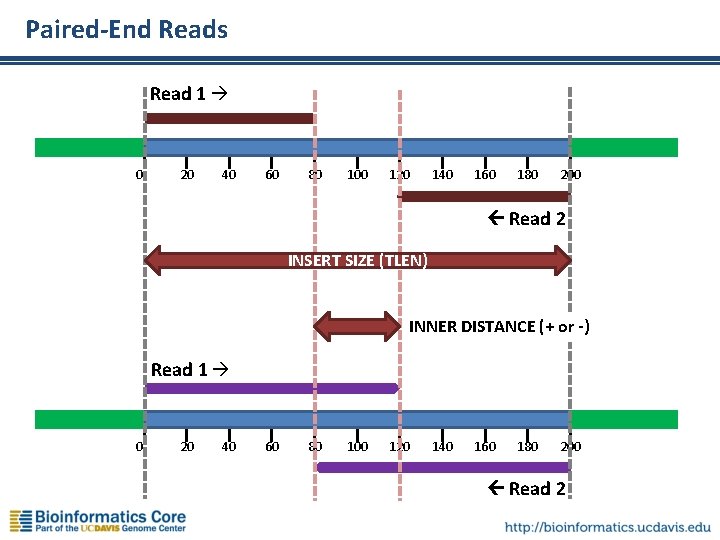 Paired-End Reads Read 1 0 20 40 60 80 100 120 140 160 180