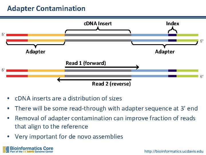 Adapter Contamination c. DNA Insert Adapter Index Adapter Read 1 (forward) Read 2 (reverse)