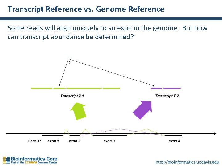 Transcript Reference vs. Genome Reference Some reads will align uniquely to an exon in