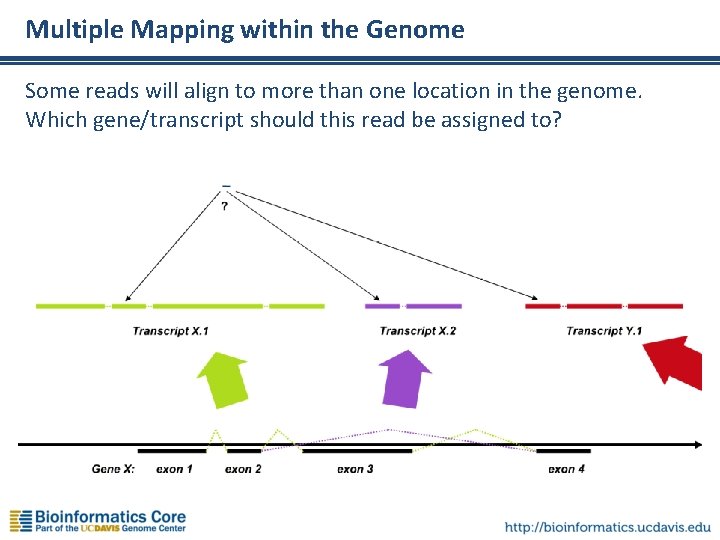 Multiple Mapping within the Genome Some reads will align to more than one location