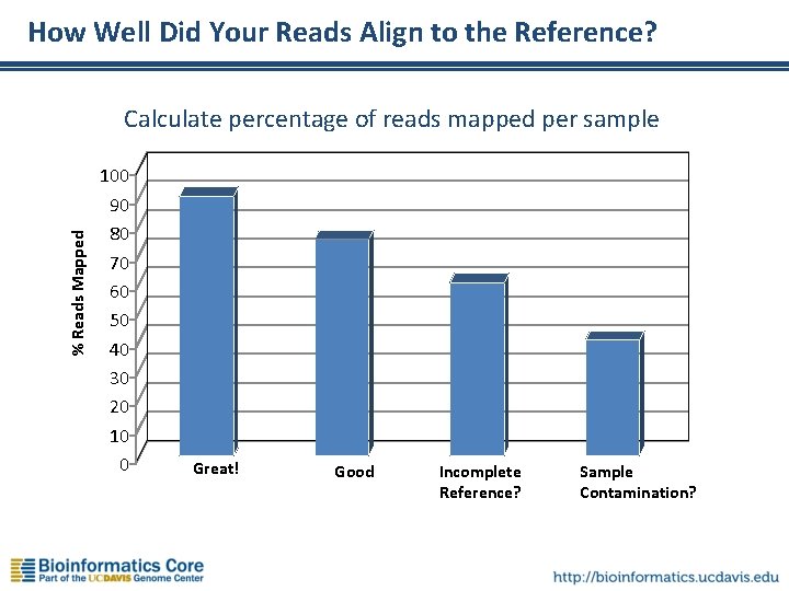 How Well Did Your Reads Align to the Reference? % Reads Mapped Calculate percentage