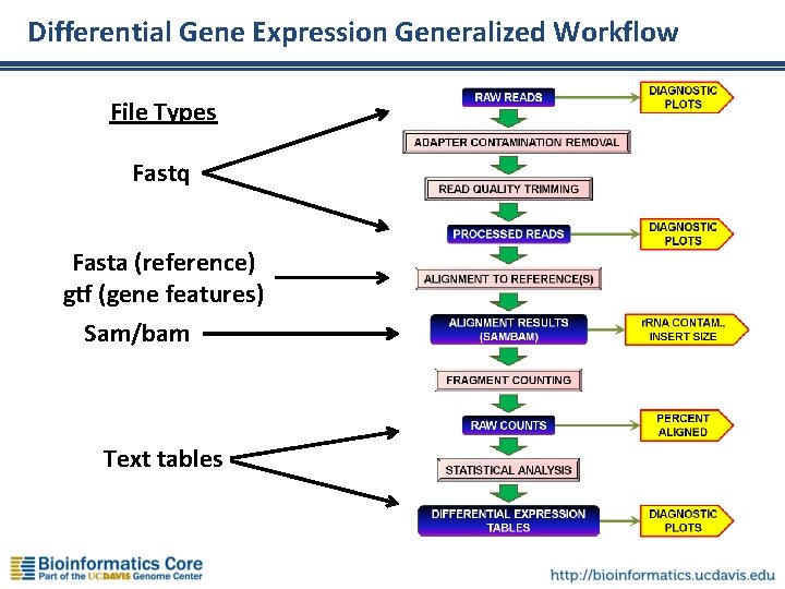 Differential Gene Expression Generalized Workflow File Types Fastq Fasta (reference) gtf (gene features) Sam/bam