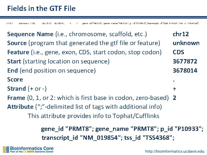 Fields in the GTF File Sequence Name (i. e. , chromosome, scaffold, etc. )