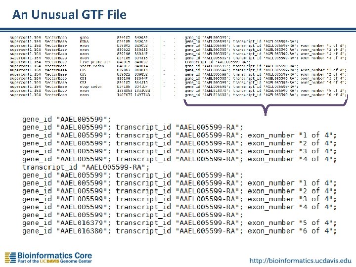 An Unusual GTF File 