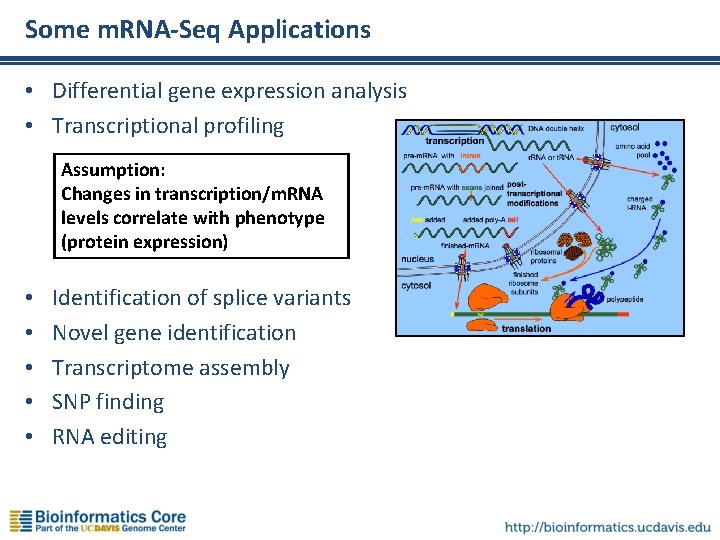 Some m. RNA-Seq Applications • Differential gene expression analysis • Transcriptional profiling Assumption: Changes