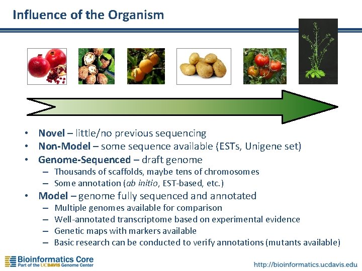 Influence of the Organism • Novel – little/no previous sequencing • Non-Model – some