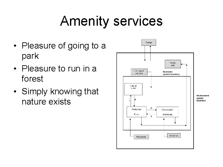 Amenity services • Pleasure of going to a park • Pleasure to run in