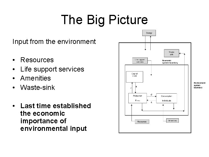 The Big Picture Input from the environment • • Resources Life support services Amenities