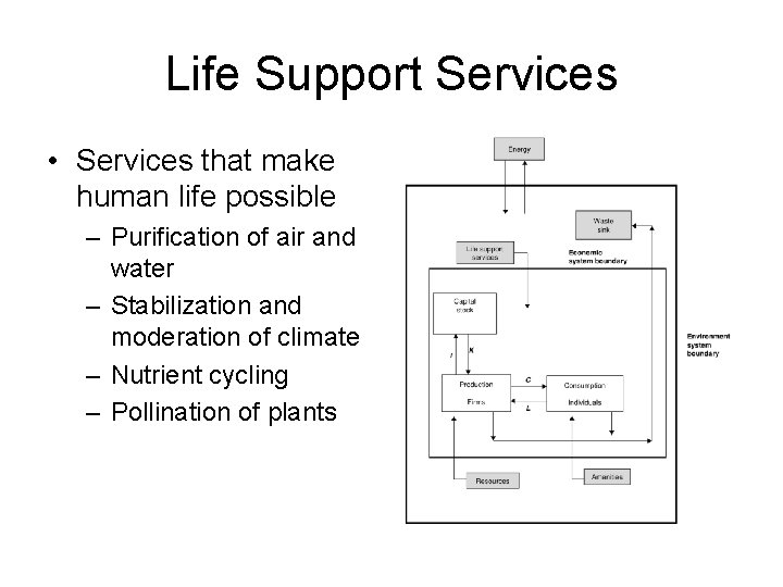 Life Support Services • Services that make human life possible – Purification of air