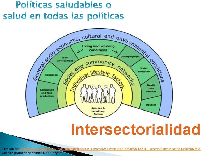 Intersectorialidad Tomado de: http: //www. paho. org/hq/index. php? option=com_content&view=article&id=5165%3 A 2011 -determinants-health&catid=5075%3 Ahealth-promotion&Itemid=3745&lang=es 