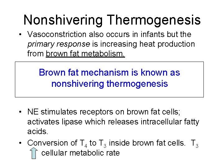 Nonshivering Thermogenesis • Vasoconstriction also occurs in infants but the primary response is increasing