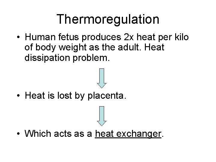 Thermoregulation • Human fetus produces 2 x heat per kilo of body weight as