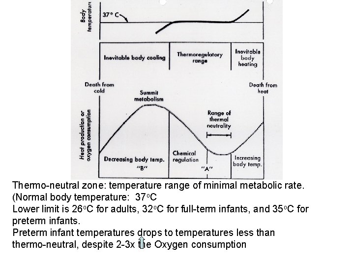 Thermo-neutral zone: temperature range of minimal metabolic rate. (Normal body temperature: 37 o. C