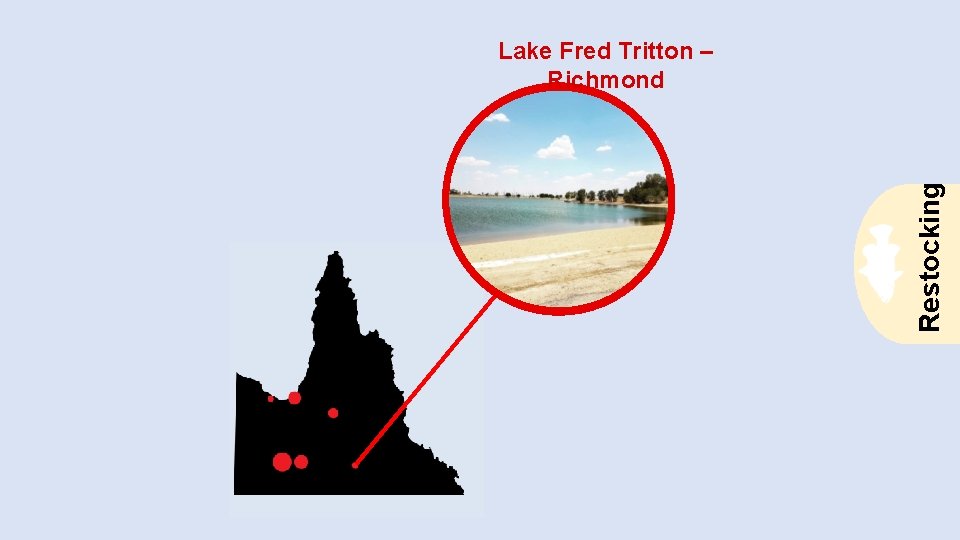 Restocking Lake Fred Tritton – Richmond 