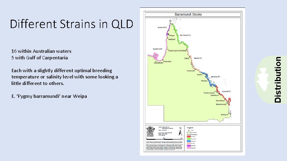 16 within Australian waters 5 with Gulf of Carpentaria Each with a slightly different