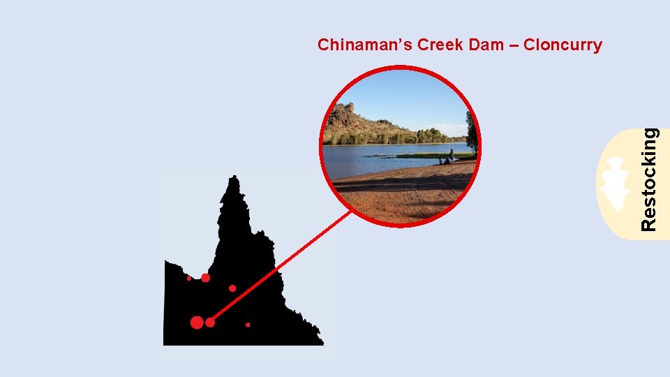 Restocking Chinaman’s Creek Dam – Cloncurry 