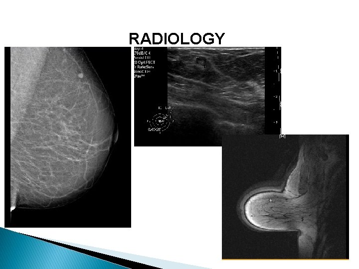 RADIOLOGY 
