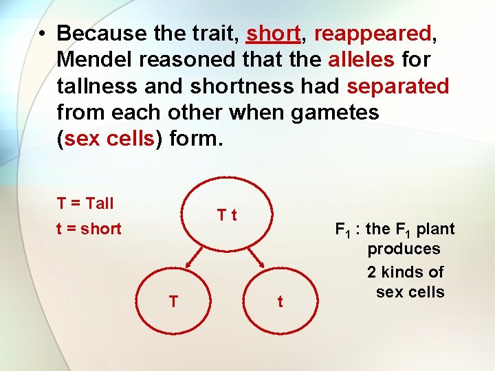  • Because the trait, short, reappeared, Mendel reasoned that the alleles for tallness