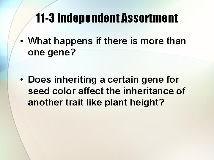 11 -3 Independent Assortment • What happens if there is more than one gene?