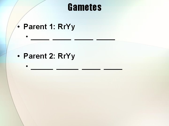 Gametes • Parent 1: Rr. Yy • _____ • Parent 2: Rr. Yy •