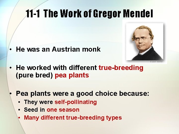 11 -1 The Work of Gregor Mendel • He was an Austrian monk •