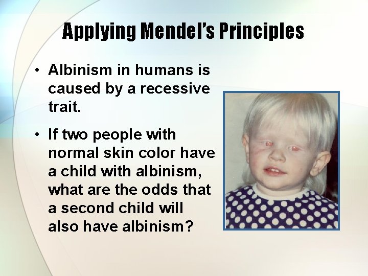 Applying Mendel’s Principles • Albinism in humans is caused by a recessive trait. •