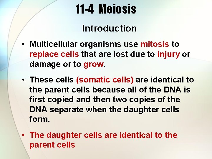 11 -4 Meiosis Introduction • Multicellular organisms use mitosis to replace cells that are