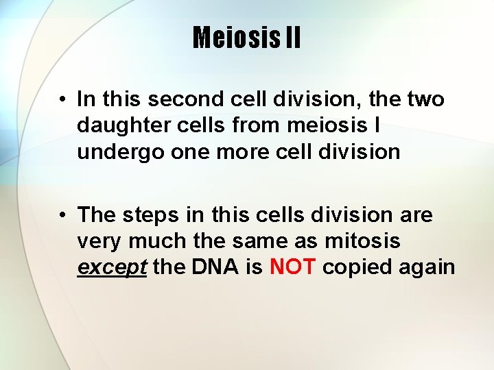 Meiosis II • In this second cell division, the two daughter cells from meiosis