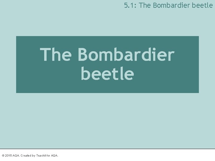 5. 1: The Bombardier beetle © 2015 AQA. Created by Teachit for AQA. 